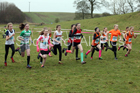 Girls under-13s, Start Fitness NEHL, Thornley Hill Farm, Peterlee, County Durham. Photo: David T. Hewitson/Sports for All Pics